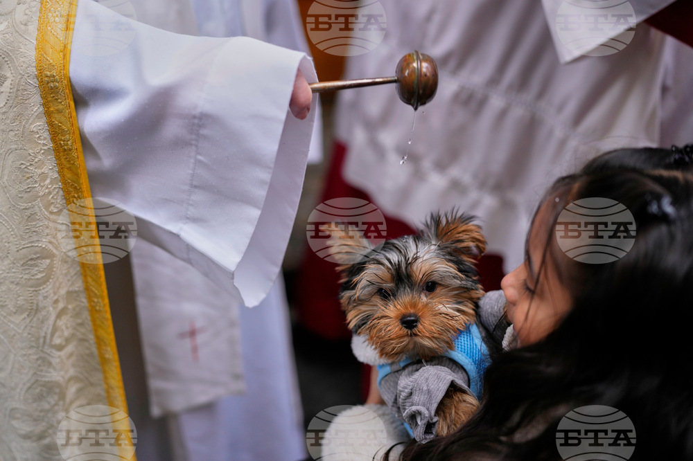 Spain Animal Blessing