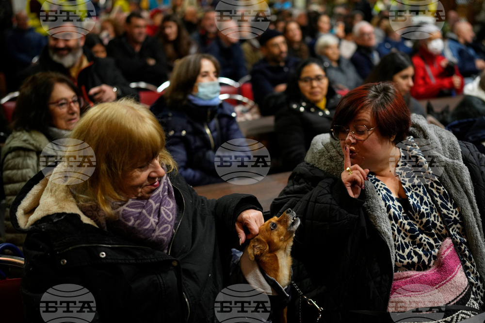 Spain Animal Blessing