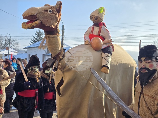 В ловешкото село Йоглав представиха традиционния обичай камилата
