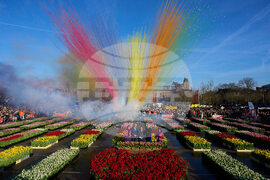 Netherlands Tulip Day