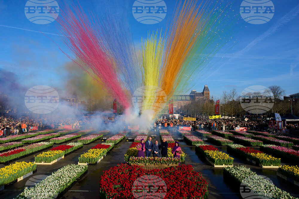 Netherlands Tulip Day