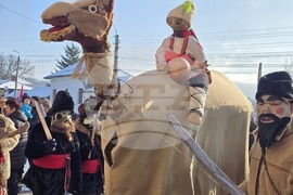 Село Йоглав - Камилата - обичай