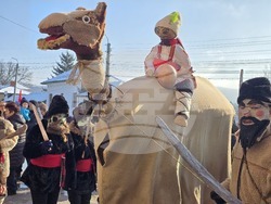 Село Йоглав - Камилата - обичай