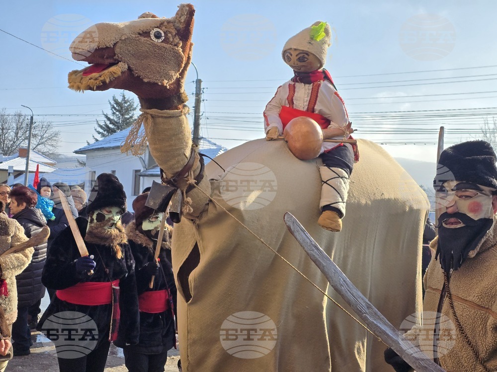 Село Йоглав - Камилата - обичай