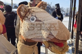 Село Йоглав - Камилата - обичай