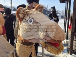 Село Йоглав - Камилата - обичай