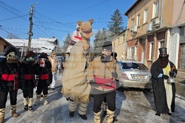 Село Йоглав - Камилата - обичай