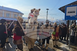 Село Йоглав - Камилата - обичай