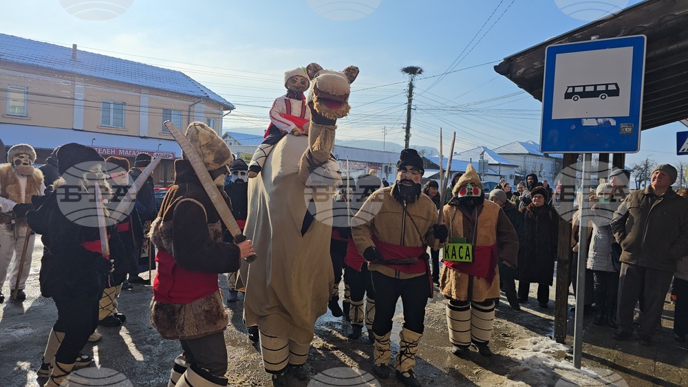Село Йоглав - Камилата - обичай