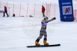 Банско - Световна купа по алпийски сноуборд - финали