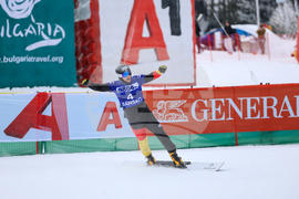 Банско - Световна купа по алпийски сноуборд - финали