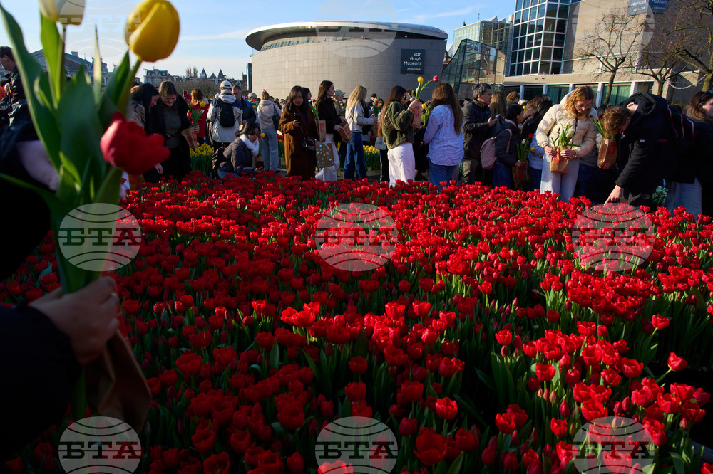 Netherlands Tulip Day