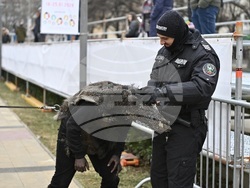 Перник - Международен фестивал на маскарадните игри „Сурва“