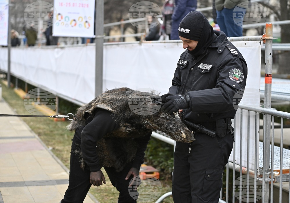 Перник - Международен фестивал на маскарадните игри „Сурва“