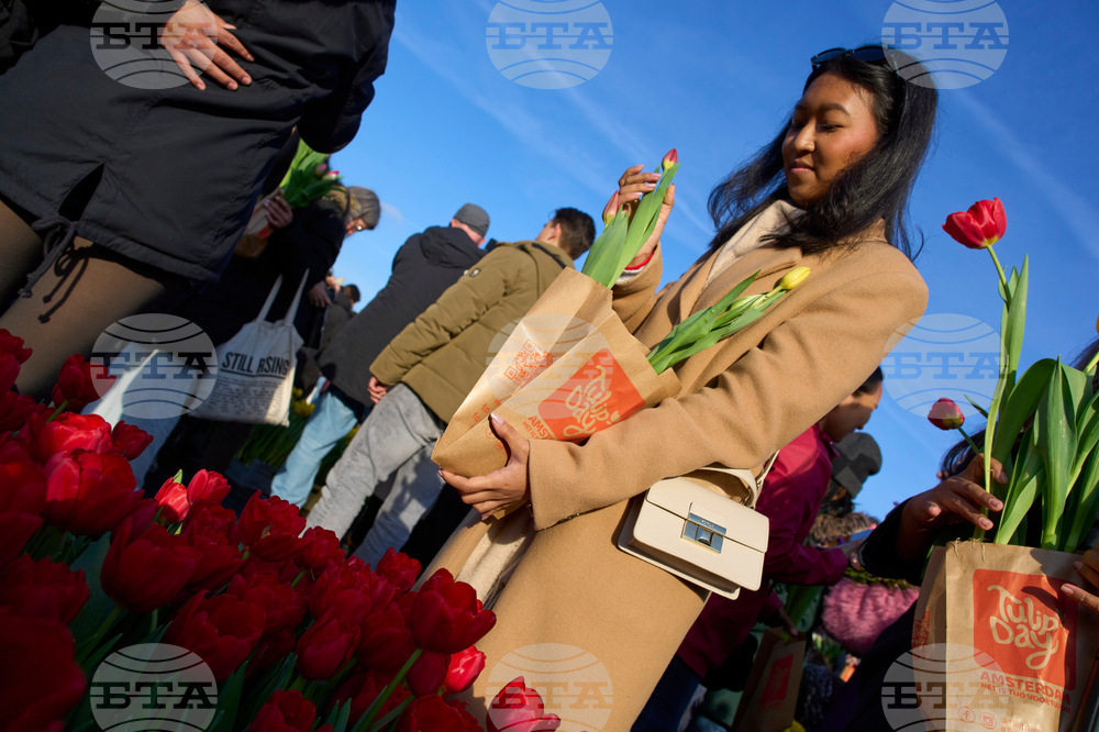 Netherlands Tulip Day