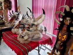 Перник - Малин Будинов - майстор на маски