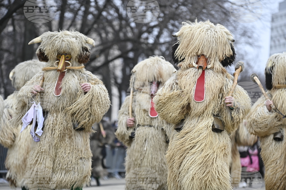 Перник - Международен фестивал на маскарадните игри „Сурва“