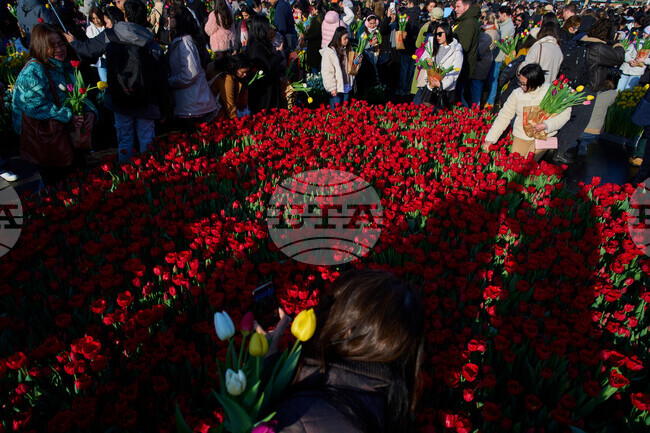 APTOPIX Netherlands Tulip Day