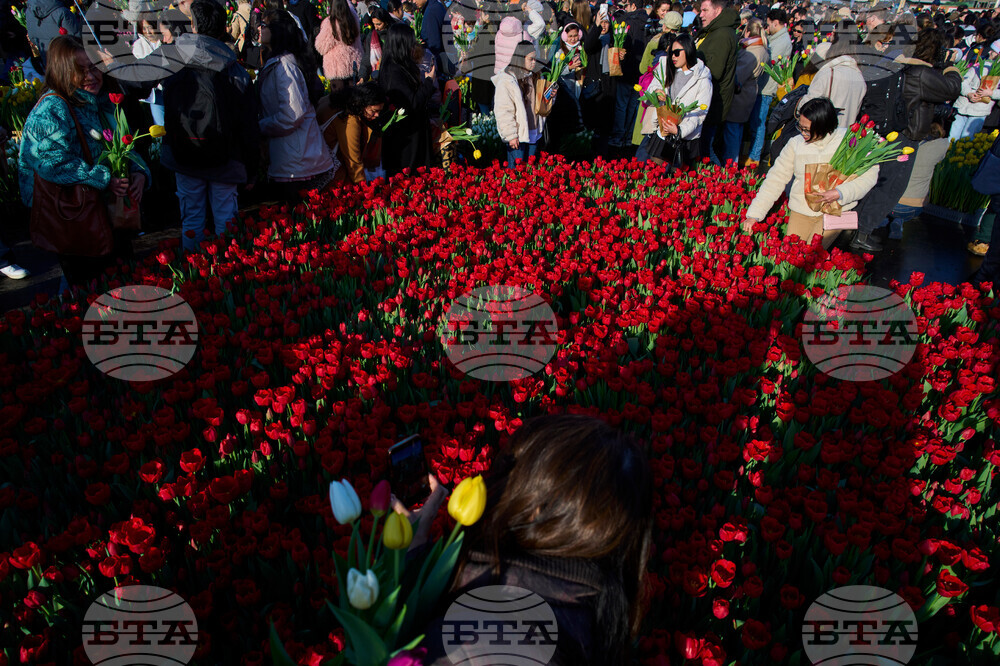 APTOPIX Netherlands Tulip Day
