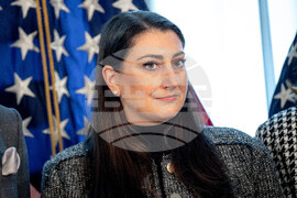 Denmark US Greenland