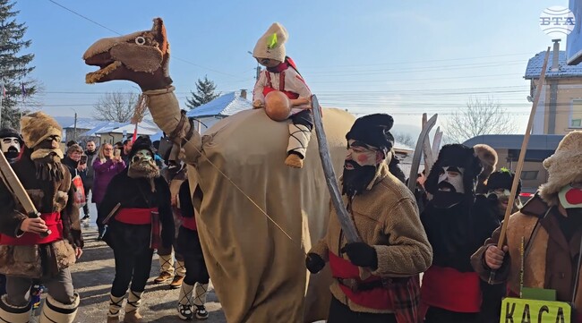 В ловешкото село Йоглав представиха традиционния обичай камилата
