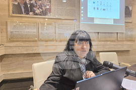 Панагюрище - Райна Княгиня - годишнина - национална кръгла маса