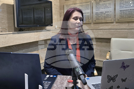 Панагюрище - Райна Княгиня - годишнина - национална кръгла маса