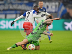 Germany Bundesliga Soccer