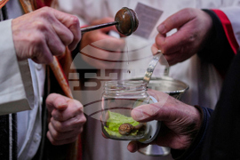 APTOPIX Spain Animal Blessing