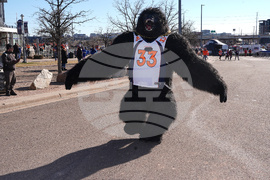 Bills Broncos Football