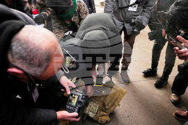 Immigration Enforcement Minnesota