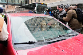 Immigration Enforcement Minnesota