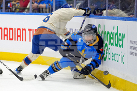 PWHL Goldeneyes Sceptres Hockey