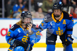 PWHL Goldeneyes Sceptres Hockey