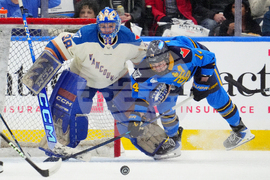 PWHL Goldeneyes Sceptres Hockey