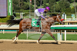 Santa Anita Horse Racing