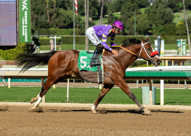 Santa Anita Horse Racing