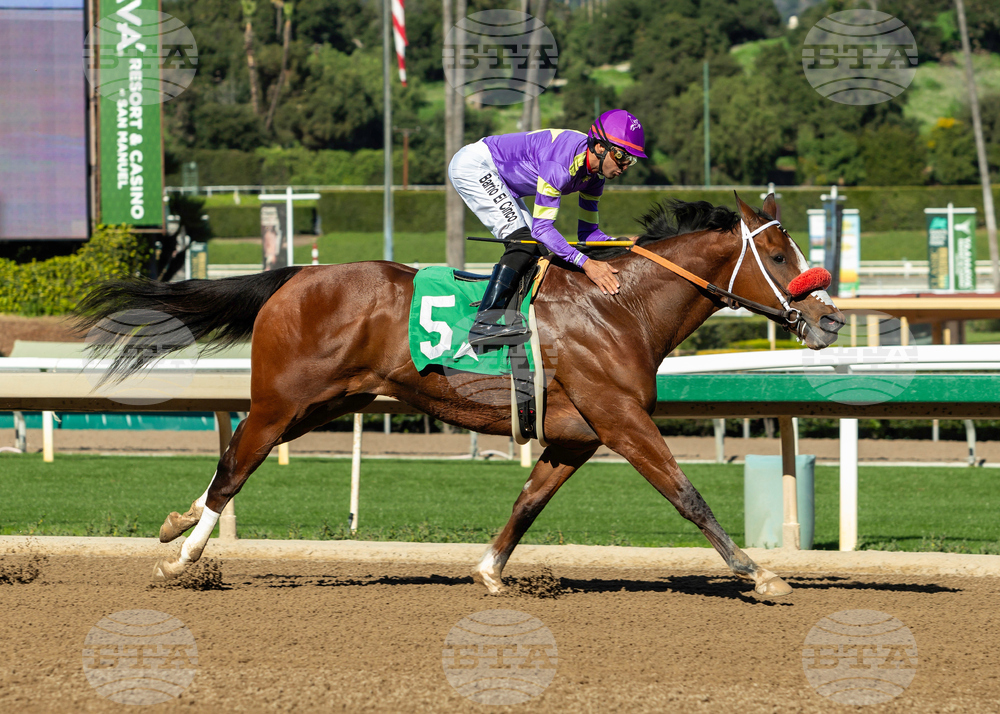 Santa Anita Horse Racing