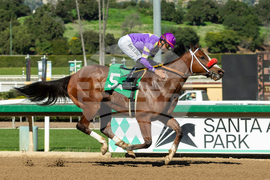 Santa Anita Horse Racing