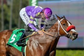 Santa Anita Horse Racing