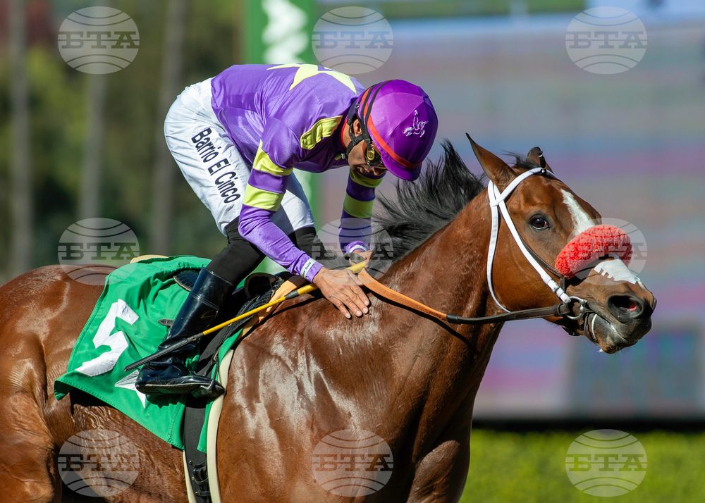 Santa Anita Horse Racing