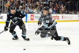 Kraken Mammoth Hockey