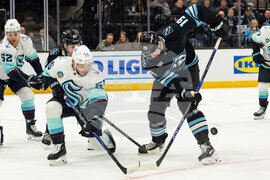 Kraken Mammoth Hockey