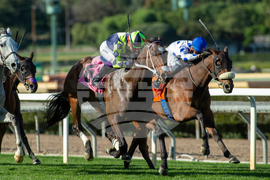 Santa Anita Horse Racing