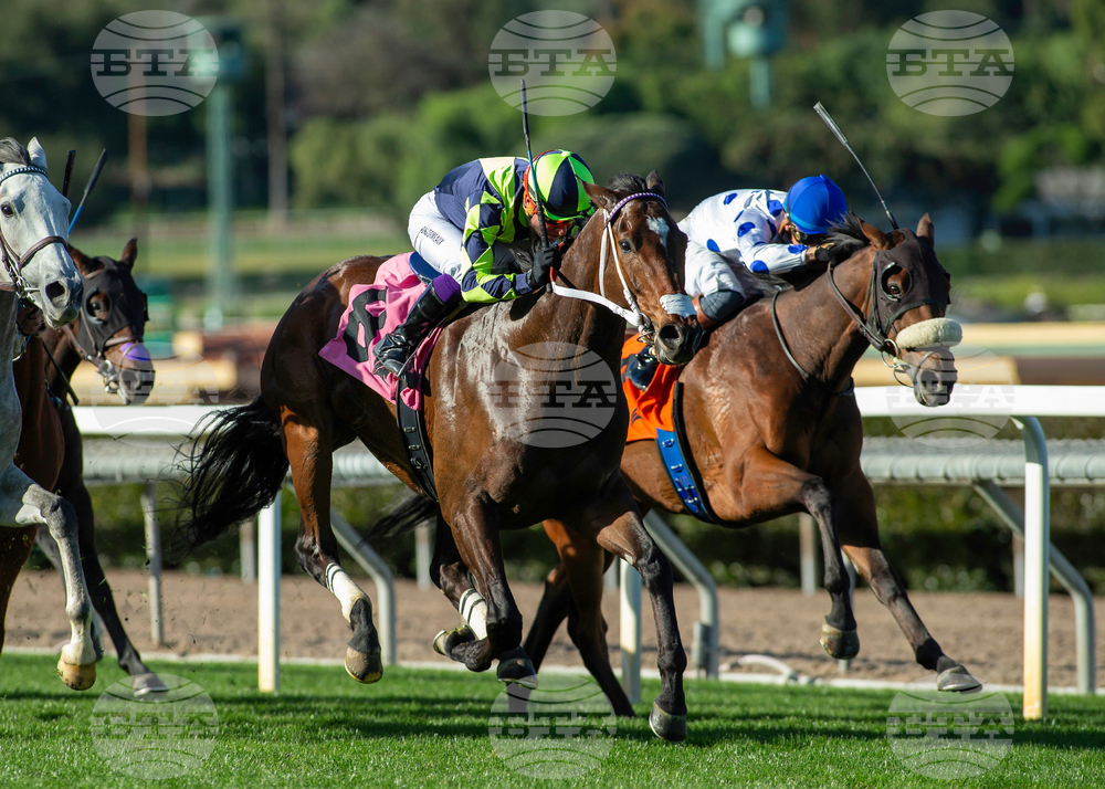 Santa Anita Horse Racing