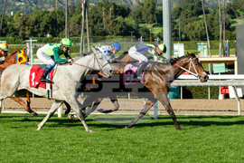 Santa Anita Horse Racing