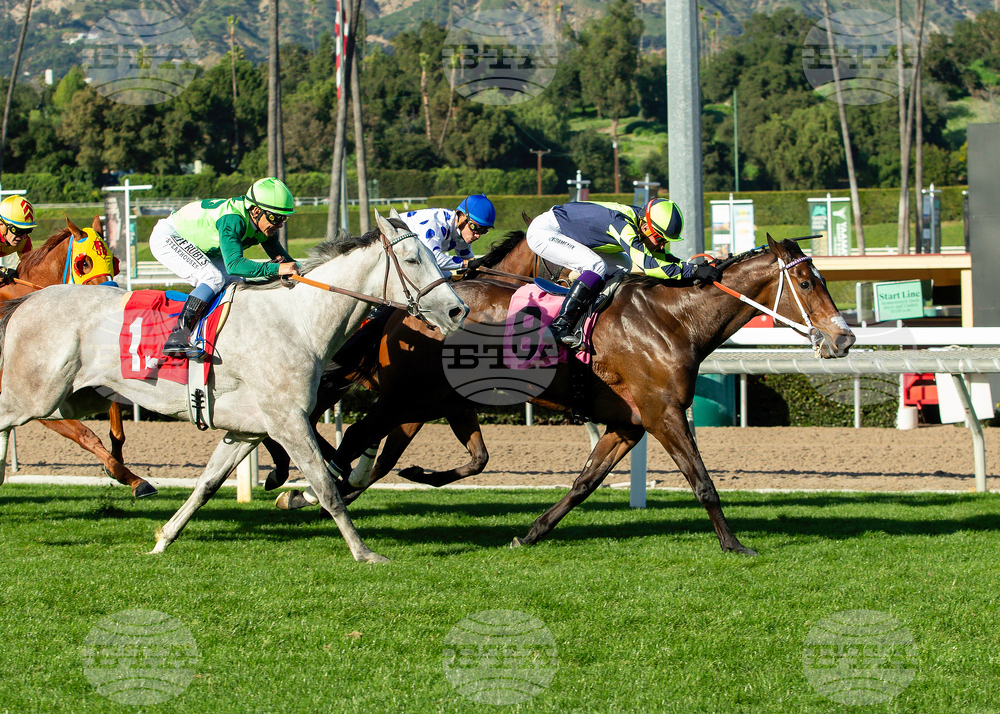 Santa Anita Horse Racing