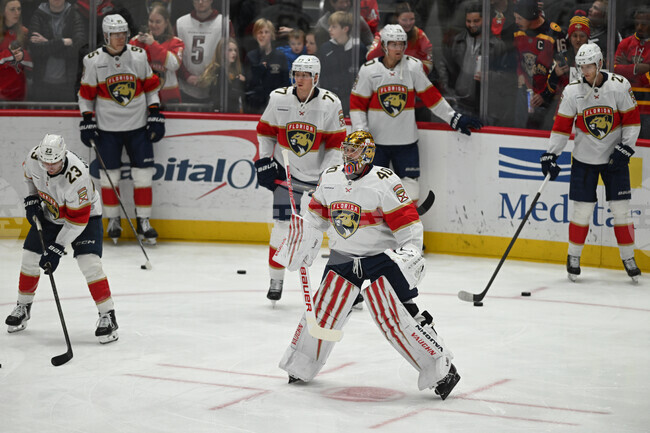 Panthers Capitals Hockey