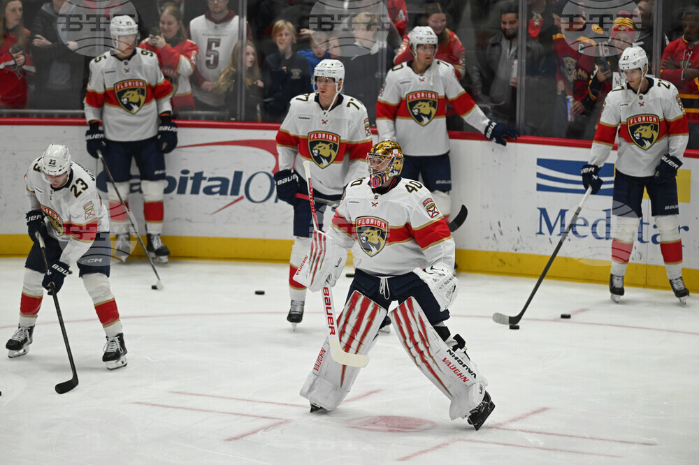 Panthers Capitals Hockey