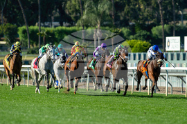 Santa Anita Horse Racing